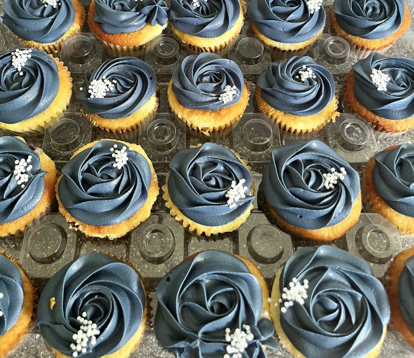 Marineblå roset-cupcakes toppet med hvide perledrys